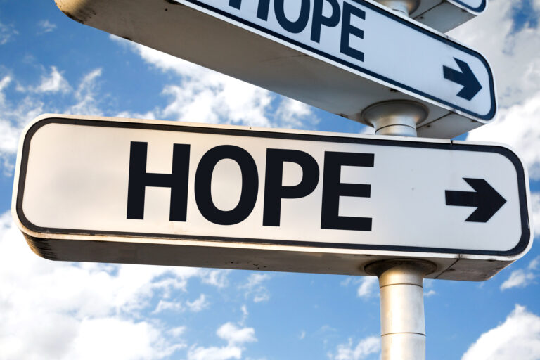 food charity organizations